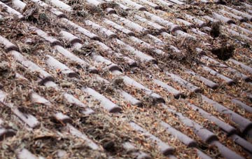 Standford roof cleaning companies